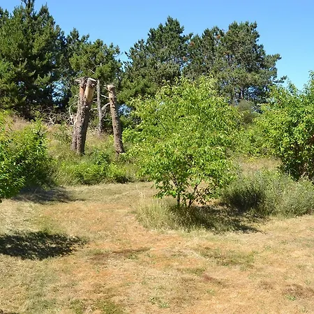 Romo Feriehus Sønderby